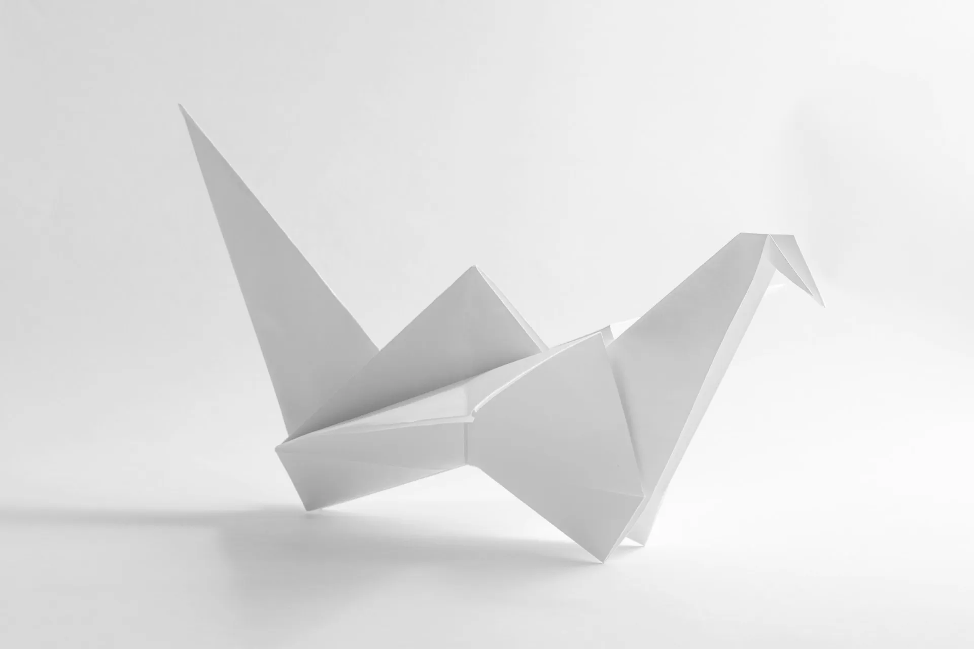 Un uccello di carta bianca piegato in origami, su fondo bianco, con una lunga ombra morbida sul piano
