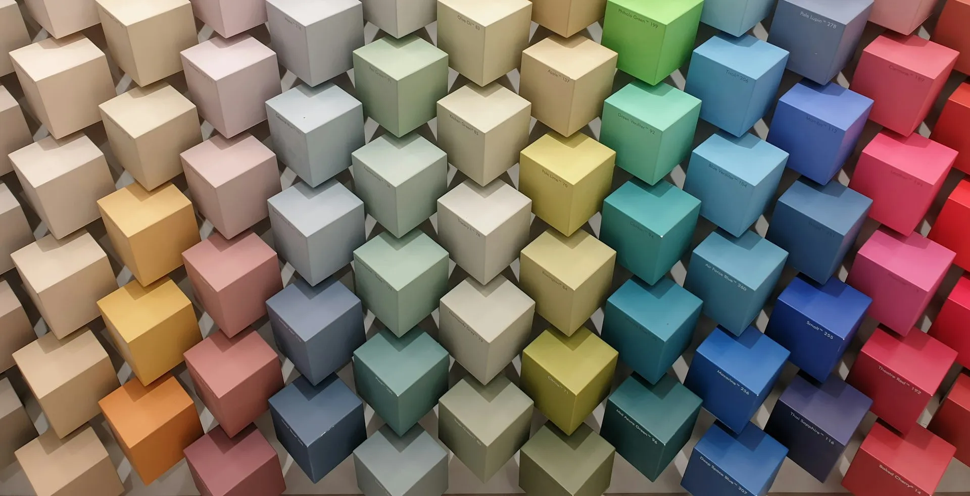 Campioni di colore a forma di cubo, disposti in file ordinate che spaziano dai toni neutri al verde, blu e rosso